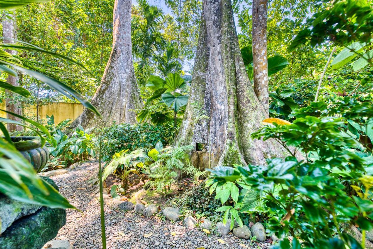 Villas Pina - Adults Only Puerto Viejo de Talamanca Екстер'єр фото