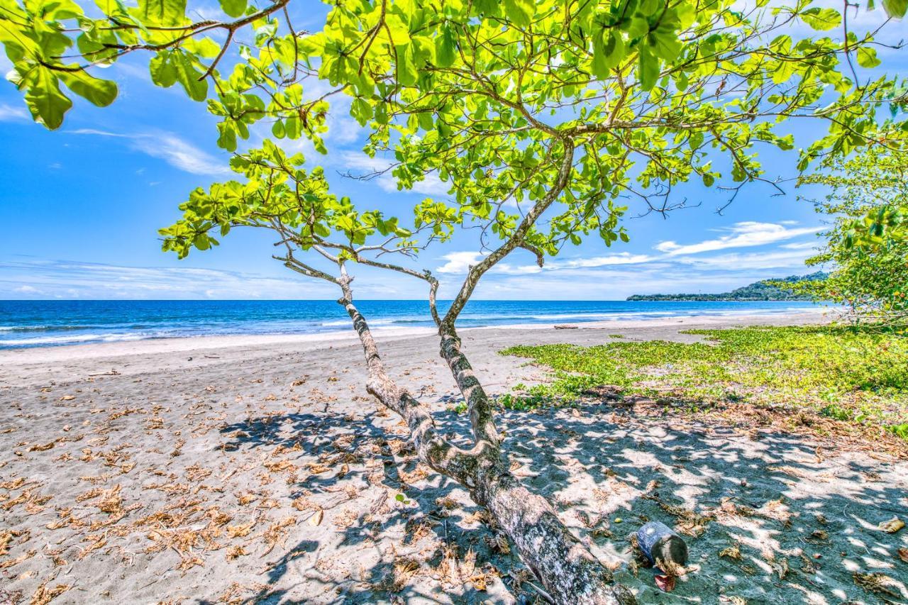 Villas Pina - Adults Only Puerto Viejo de Talamanca Екстер'єр фото